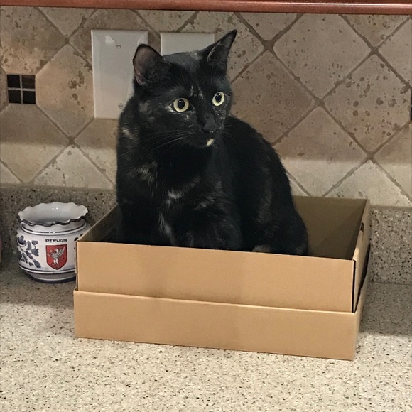 Meet your Posher, Andria - Picture 2 of 5